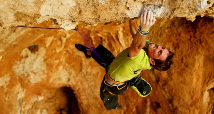 bannerImage1