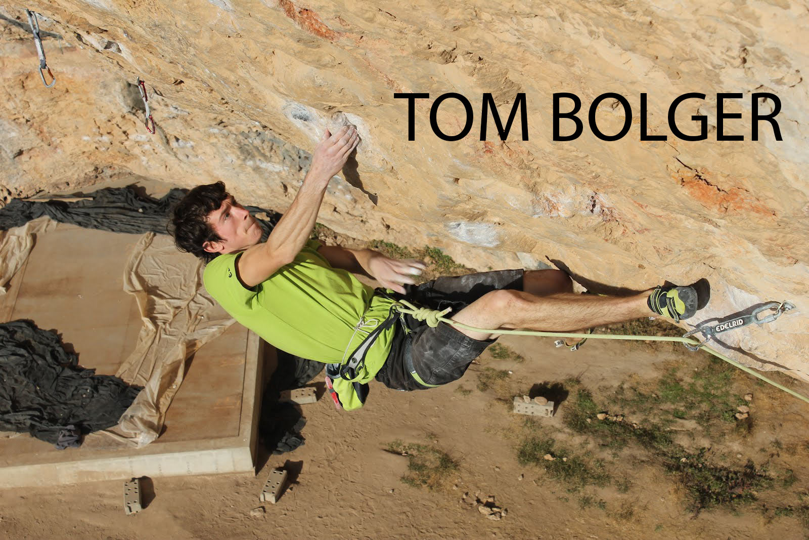 tom bolger copy